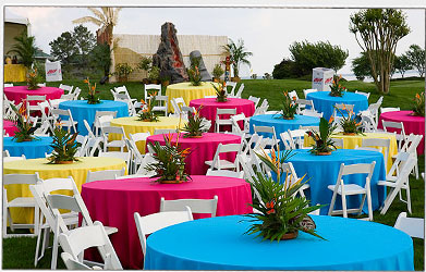 Premier Events Weddings, Bridal Showers and Rehearsal Dinners