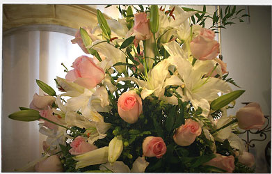 Premier Events Weddings, Bridal Showers and Rehearsal Dinners